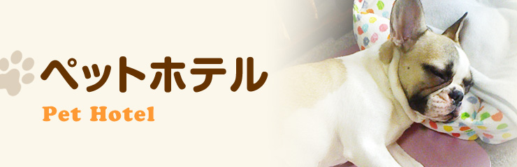ペットホテル 愛知県大府市の犬のトリミングサロン ペットホテル ドッグハウスペティー ペットホテル 愛知県大府市の犬のトリミングサロン ペットホテル ドッグハウスペティー