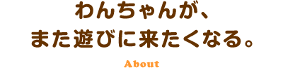 わんちゃんが、また遊びに来たくなる。