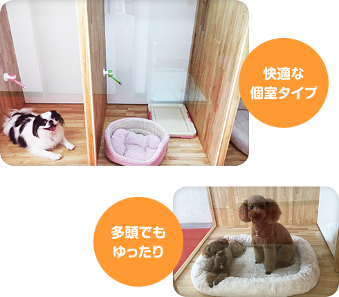 お部屋の写真